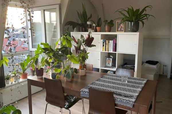 Appartement Langendijk in Gorinchem